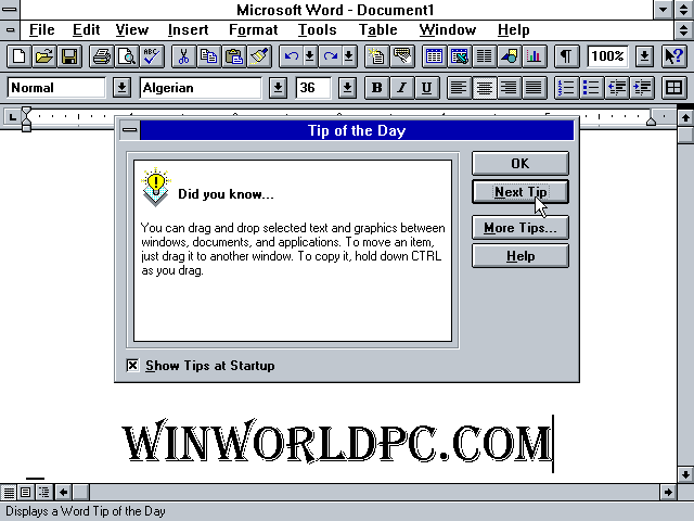 Microsoft Word 6 for Windows - Tips